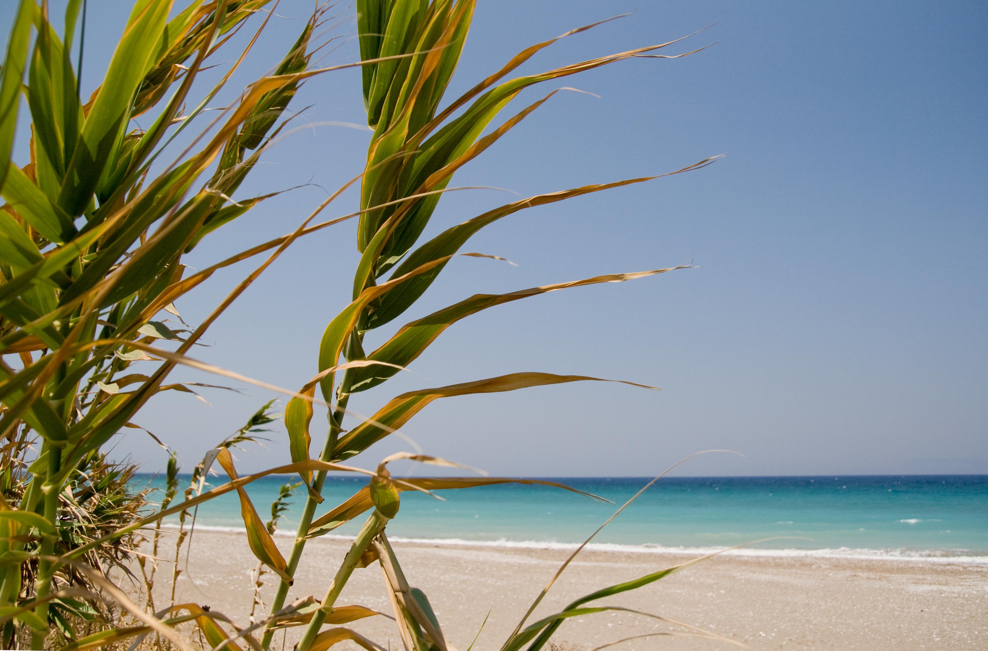 Hotel Asteria Agios Kirykos  Bagian luar foto